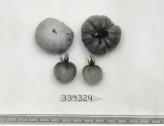 Click for 1 image(s) for this accession. FRUIT